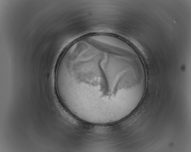 X0000094810840200711241444