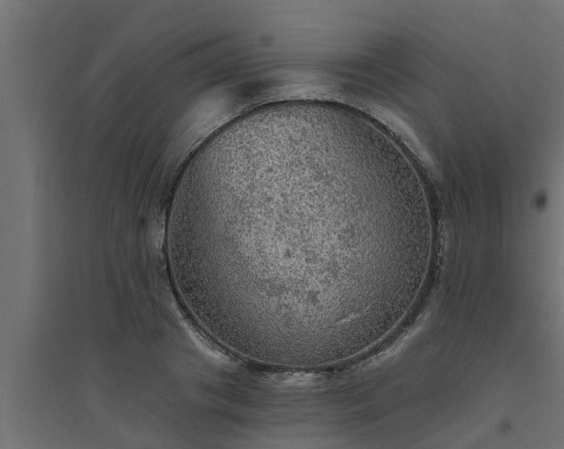 X0000094810841200711241444