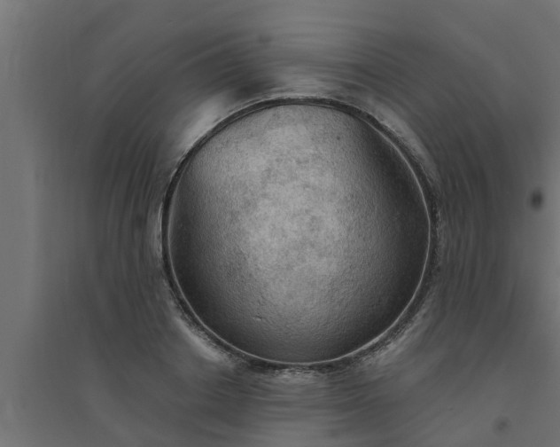 X0000094810842200711241444