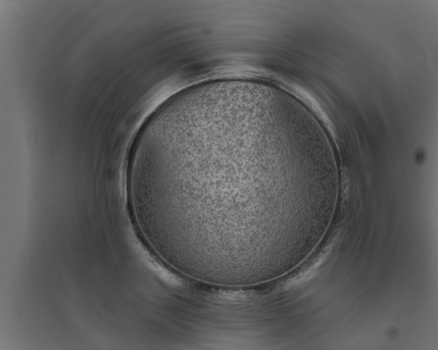 X0000094810843200711241444