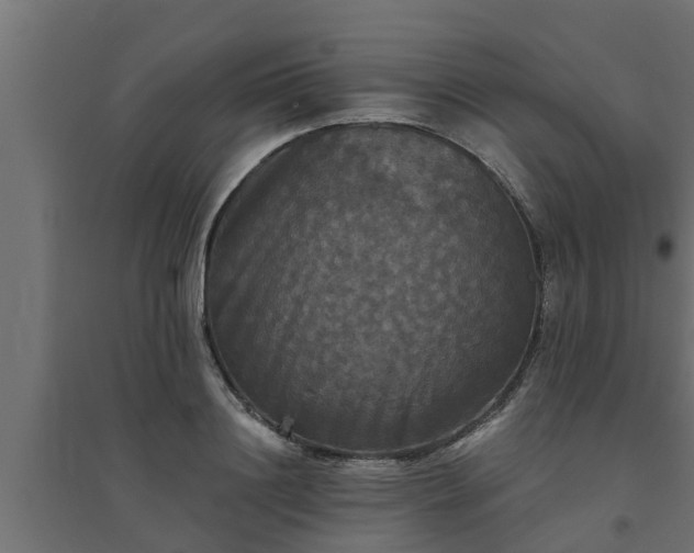 X0000094810844200711241444