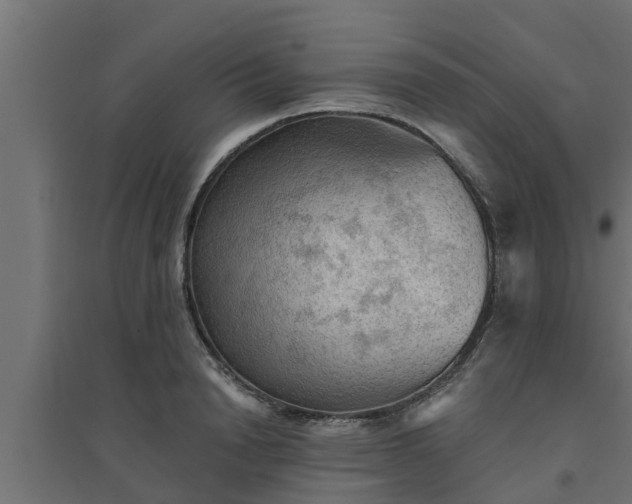 X0000094810846200711241444