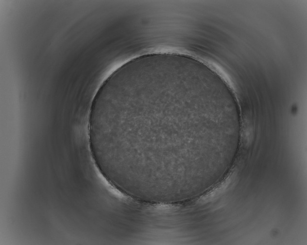 X0000094810847200711241444