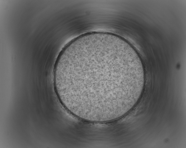 X0000094810848200711241444