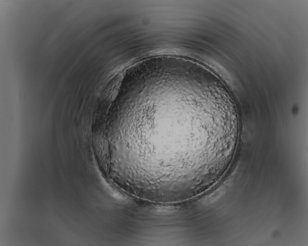 X0000094810849200711241444