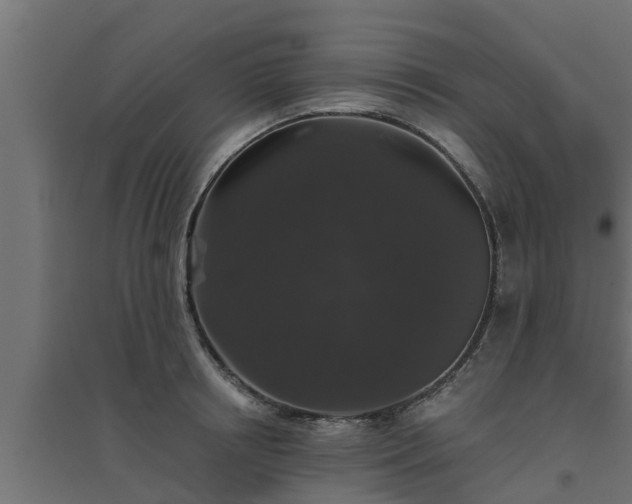 X0000094810850200711241444