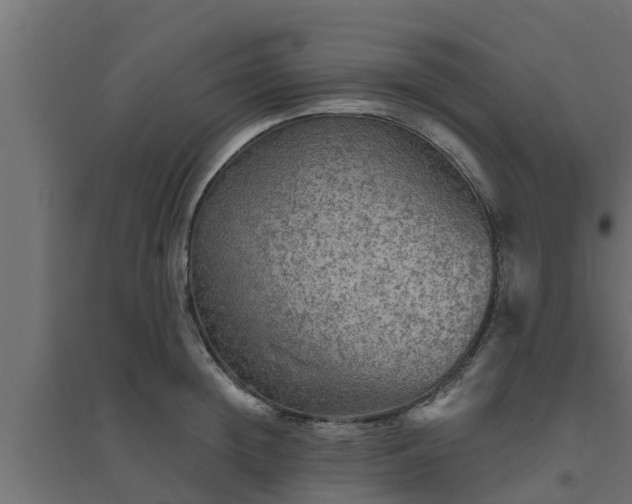 X0000094810852200711241444