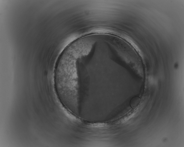 X0000094810853200711241444