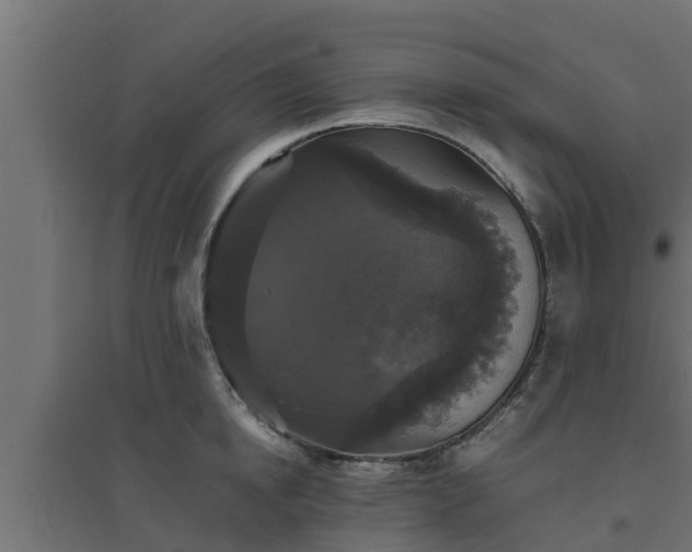 X0000094810854200711241444