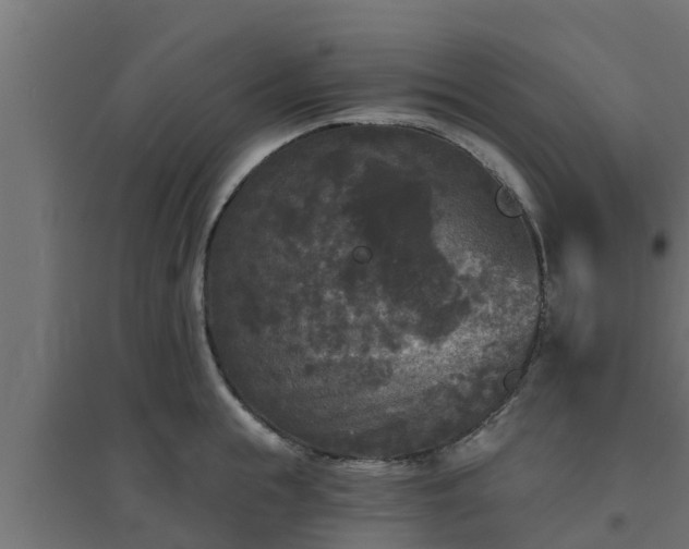 X0000094810855200711241444