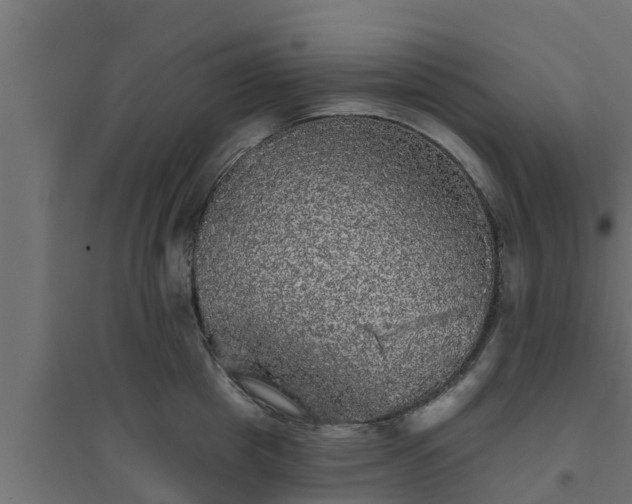 X0000094810857200711241444