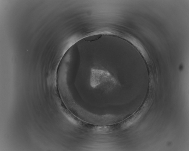 X0000094810858200711241444