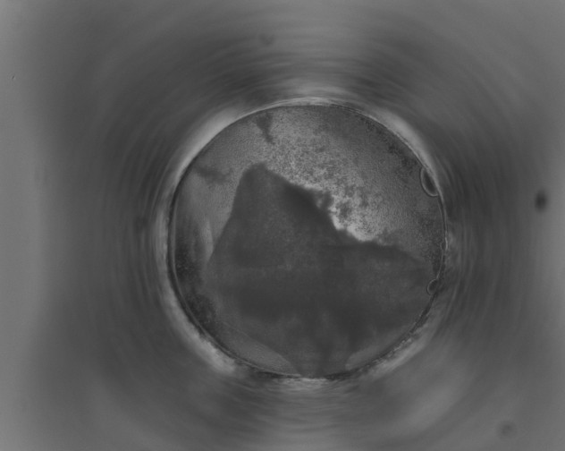 X0000094810859200711241444