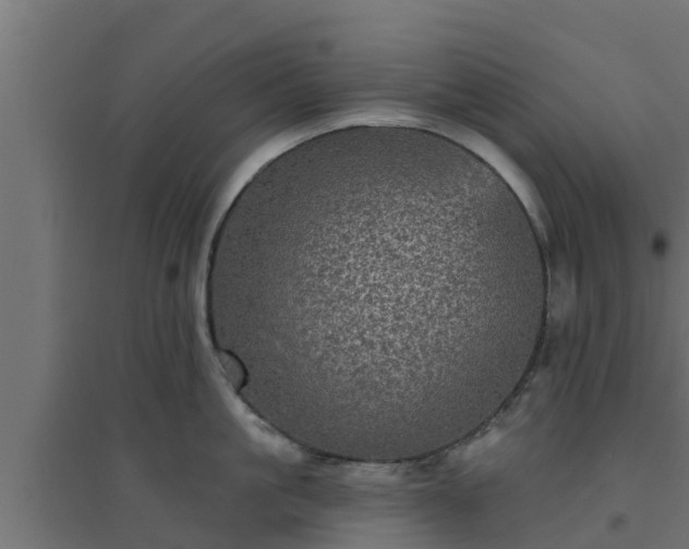 X0000094810861200711241444