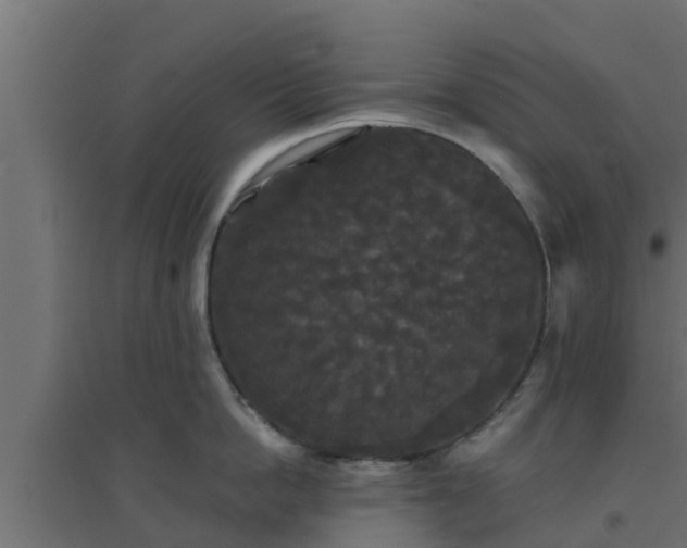 X0000094810862200711241444