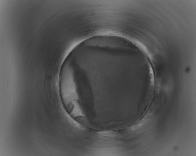 X0000094810863200711241444