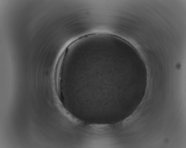 X0000094810864200711241444