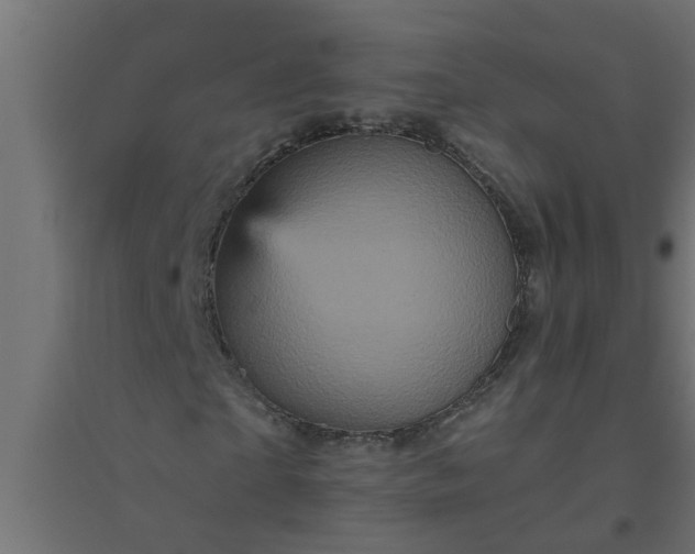 X0000094810865200711241443