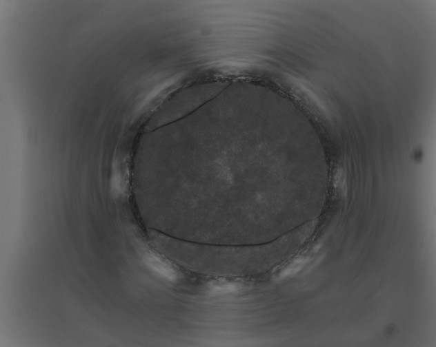 X0000094810868200711241443