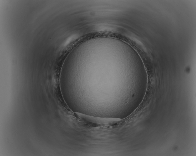 X0000094810869200711241443