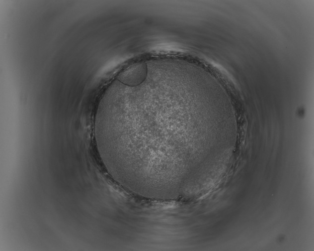 X0000094810870200711241443