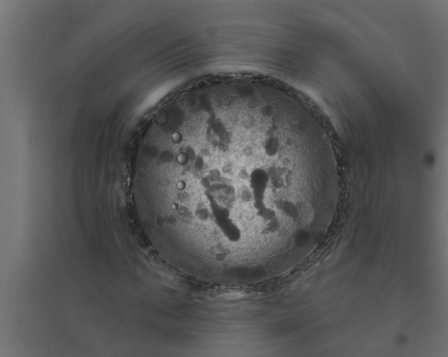 X0000094810871200711241443