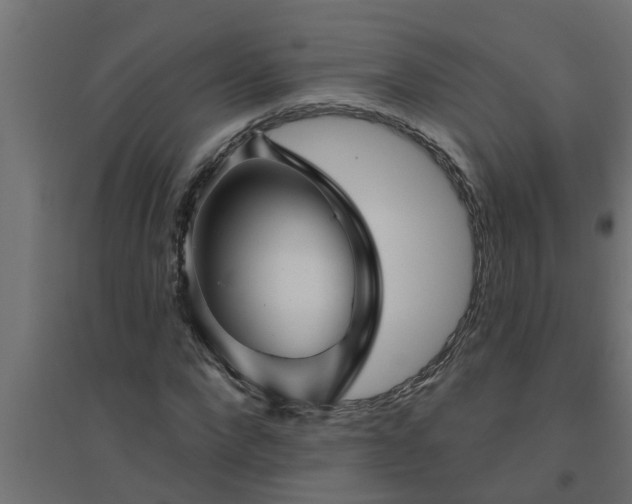 X0000094810872200711241443