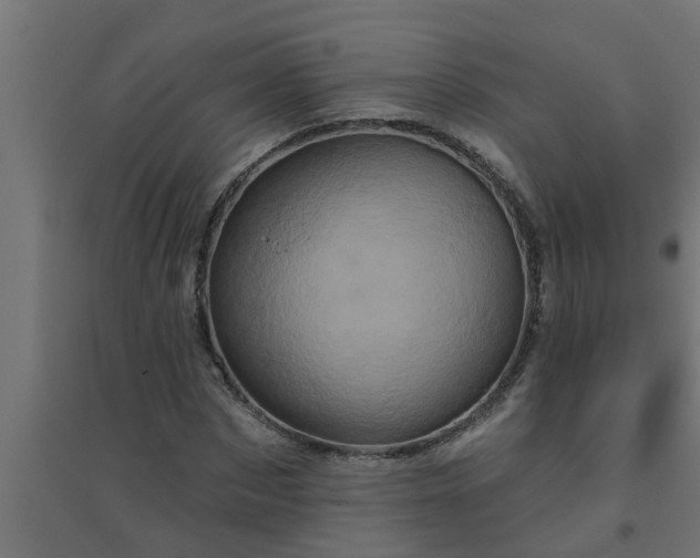 X0000094810873200711241443