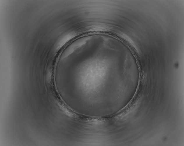 X0000094810874200711241443