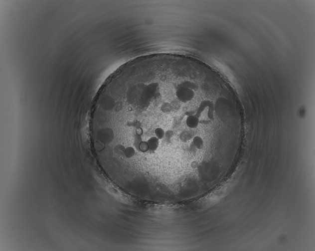 X0000094810875200711241443