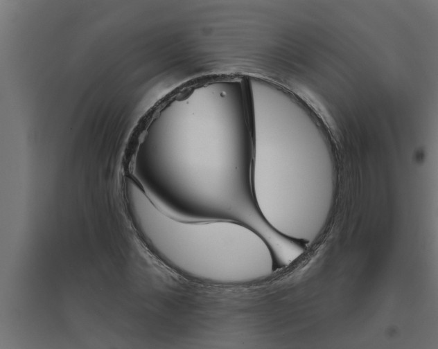 X0000094810876200711241443