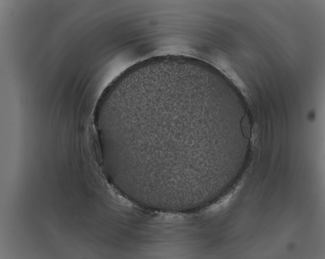 X0000094810877200711241443