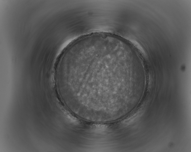 X0000094810878200711241443