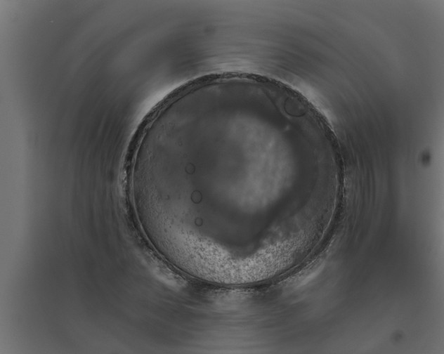 X0000094810879200711241443