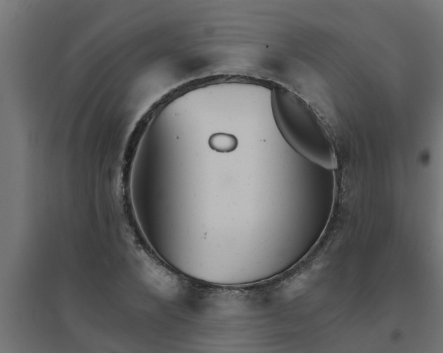 X0000094810880200711241443