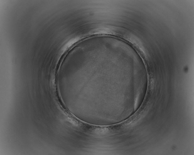 X0000094810882200711241443