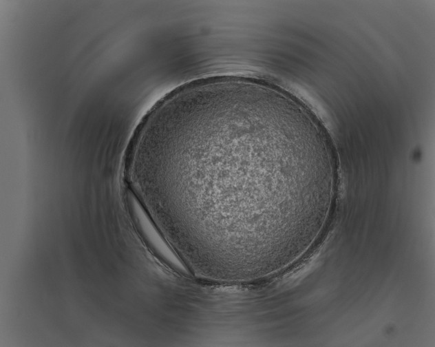 X0000094810883200711241443