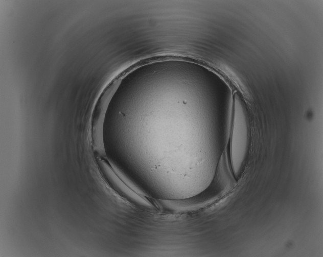 X0000094810884200711241443