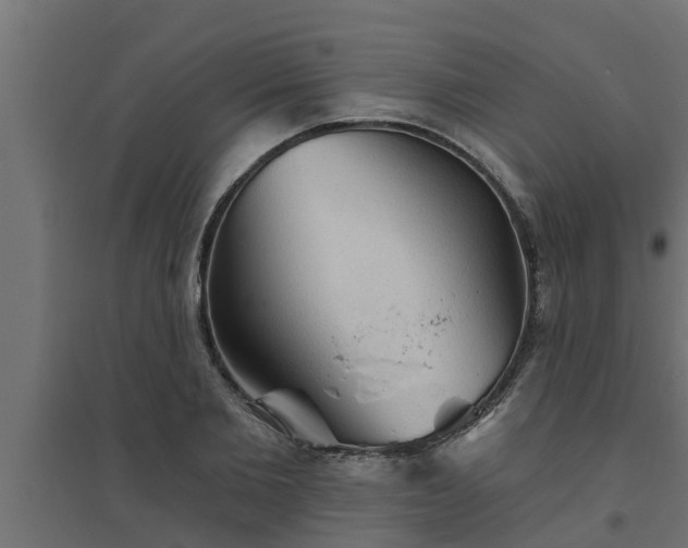 X0000094810885200711241443