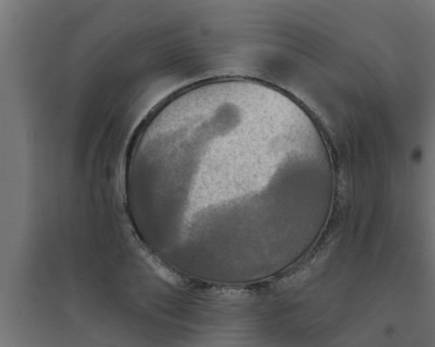 X0000094810886200711241443