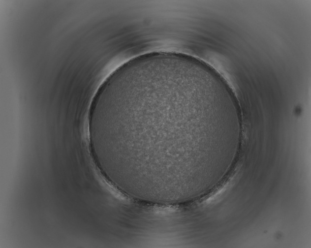 X0000094810887200711241443