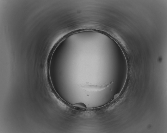 X0000094810888200711241443