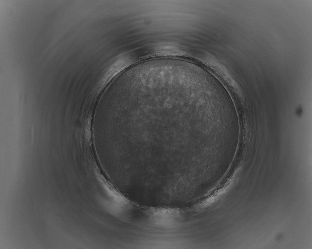 X0000094810889200711241443