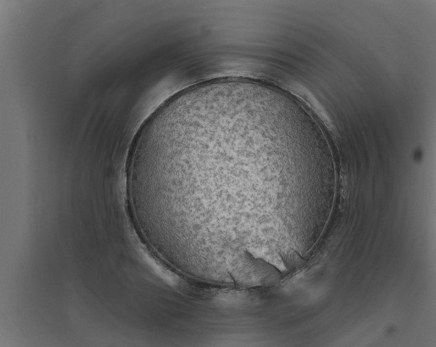 X0000094810890200711241443