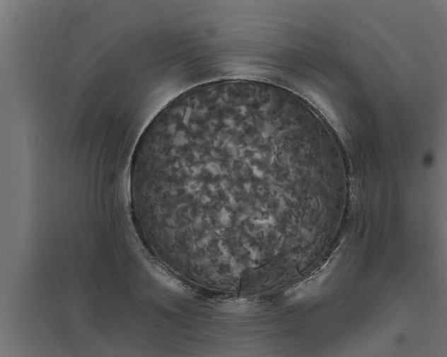 X0000094810891200711241443