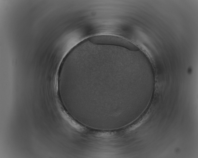 X0000094810892200711241443