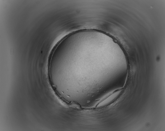 X0000094810894200711241443