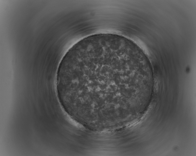 X0000094810895200711241443