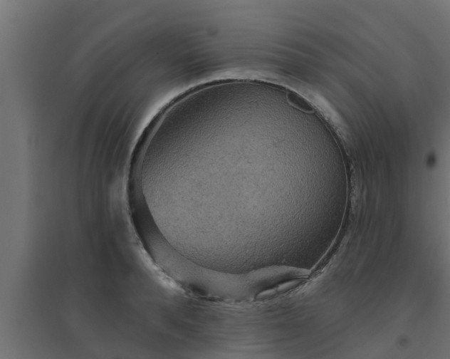 X0000094810896200711241443