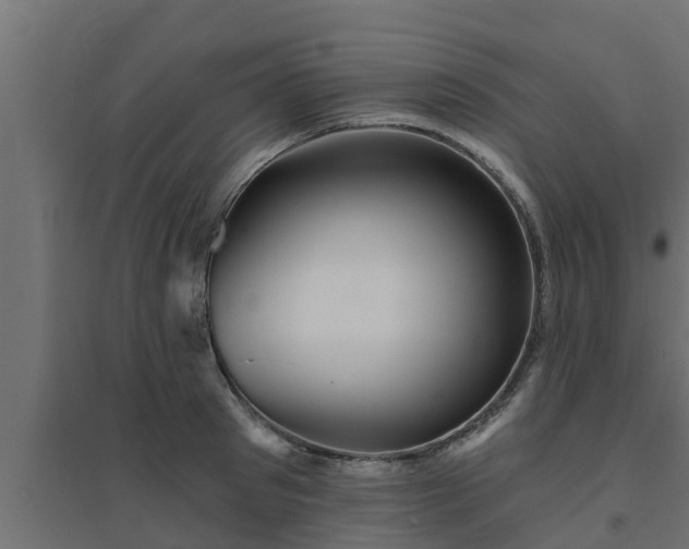 X0000094810897200711241443